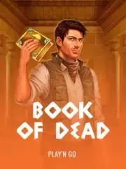 Book of Dead van Play'n GO spelen